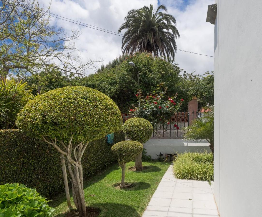 Homestay Donde Conchita, Cerca Del Aeropuerto Norte La Laguna (Tenerife)